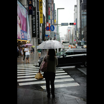 Gra symulator ogrodnika: Odkryj tajniki wirtualnego ogrodnictwa i stwórz swoje wymarzone królestwo roślin